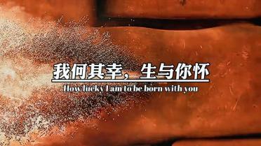 逗小猴开心系列181